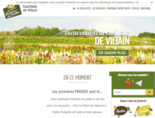 Tablet Screenshot of cueillettedeviltain.fr